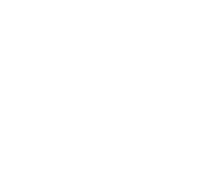 Logo Lobo y Luna
